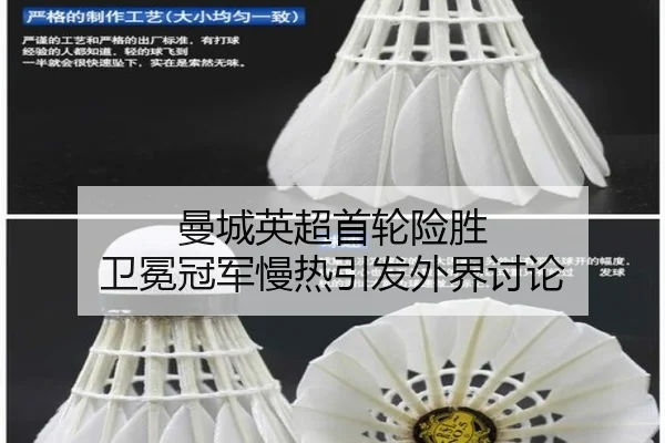 man-cheng-ying-chao-shou-lun-xian-sheng-wei-mian-guan-jun-man-re-yin-fa-wai-jie-tao-lun-2-486.jpg